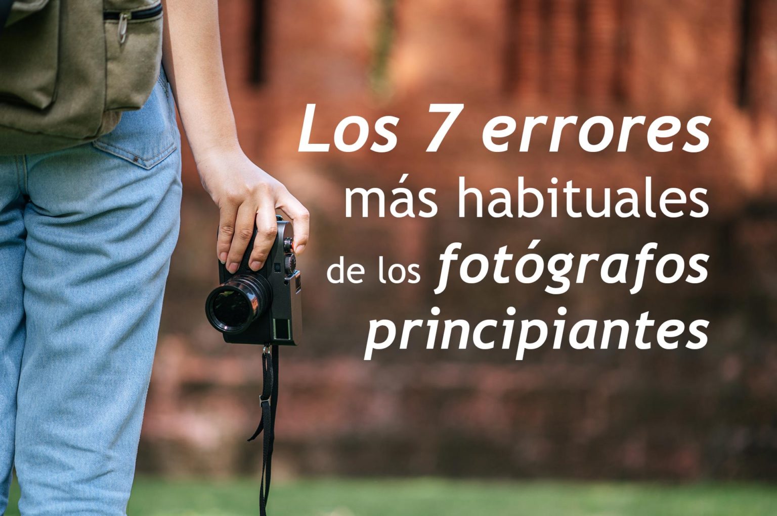 Enfocando tus fotografías domina los métodos de enfoque