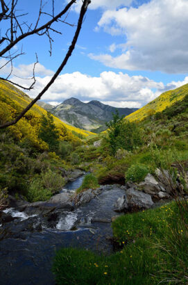 pauli-lazo-ruta-redipuertas-flickr