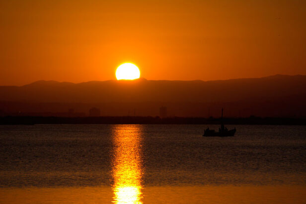 sento-la-albufera-twitter