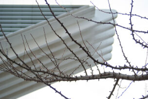 foto-reto-12-contrastes-jarobev