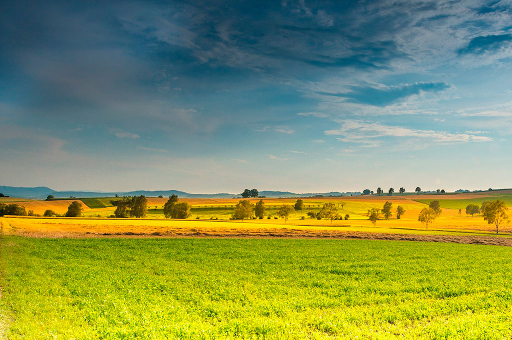 Paisaje con líneas horizontales